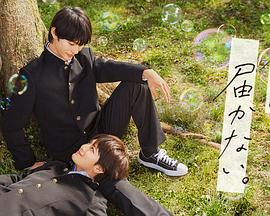 知否知否剧情_知否知否的剧情