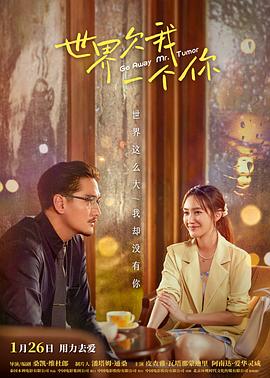 他是谁分集剧情介绍_《他是谁》演员表